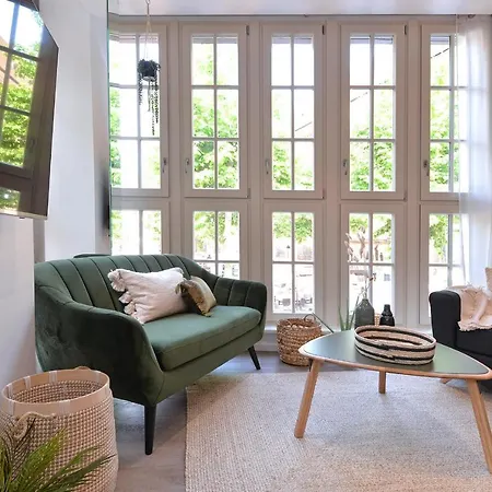 Le Splendide Du Centre Historique Avec Climatisation アパート コルマール