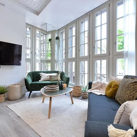 Le Splendide Du Centre Historique Avec Climatisation アパート コルマール