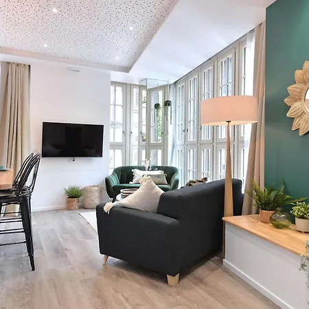 Le Splendide Du Centre Historique Avec Climatisation アパート コルマール