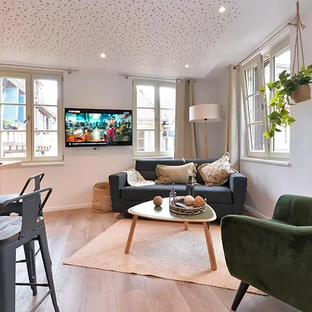 Apartamento Le Splendide Du Centre Historique Avec Climatisation