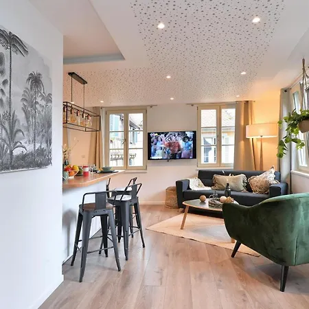 Le Splendide Du Centre Historique Avec Climatisation Apartamento Colmar