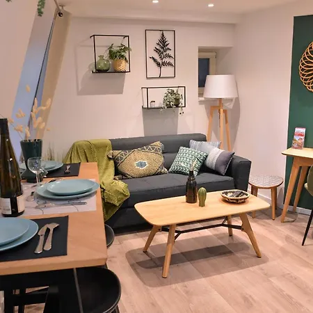 Le Splendide Du Centre Historique Avec Climatisation Apartamento