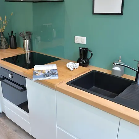 Le Splendide Du Centre Historique Avec Climatisation * コルマール