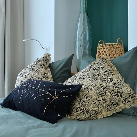 Le Splendide Du Centre Historique Avec Climatisation コルマール