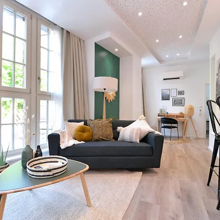 Le Splendide Du Centre Historique Avec Climatisation * コルマール