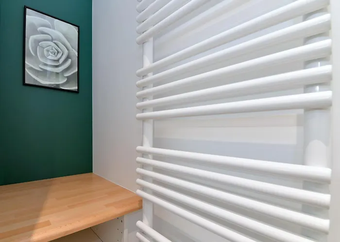 Apartament Le Splendide Du Centre Historique Avec Climatisation *