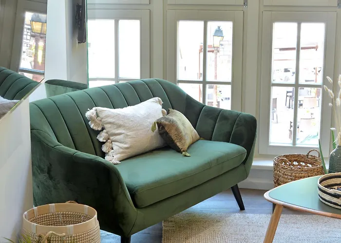 Apartament Le Splendide Du Centre Historique Avec Climatisation *