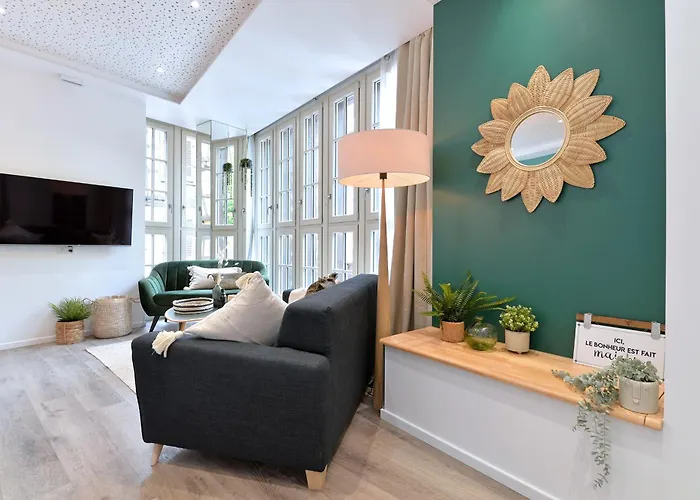 Le Splendide Du Centre Historique Avec Climatisation Apartament